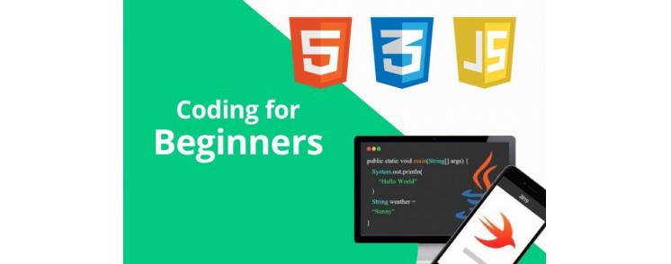 How to Learn Programming for Beginners?